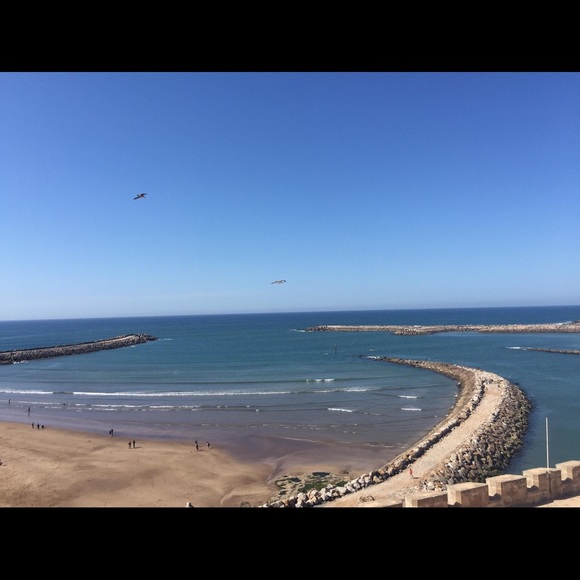 Meet your Posher, Andrew - Picture 1 of 1